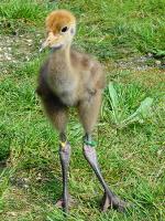 Green Yellow Blue on 12th June 2012 Green Yellow Blue on 12th June 2012